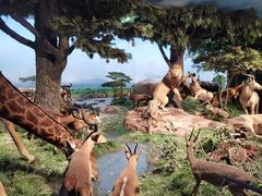 -国家自然博物馆