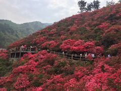 -木兰云雾山