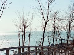 -青岛海滨风景区