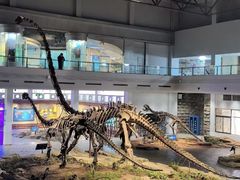 -自贡恐龙博物馆