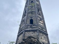 -上海佘山国家森林公园天马山园