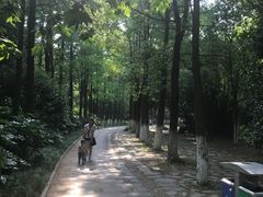 -九江美术馆
