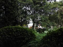 -黄埔荔枝公园
