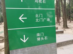 -火炉山森林公园