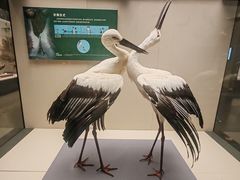 -天津自然博物馆