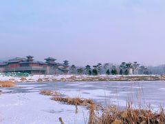 -晋祠公园