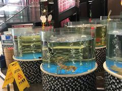 水产区-蓬川食府(金海道店)