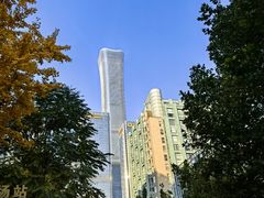 -叁拾壹克饺子·东北菜(国贸店)