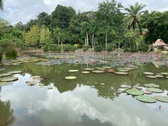 -中国科学院西双版纳热带植物园
