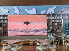 -抱抱地球咖啡馆(国家海洋博物馆店)