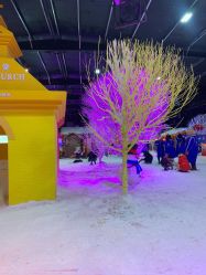 -圣名游乐城冰雪大世界