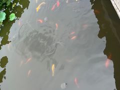 -龙头寺公园