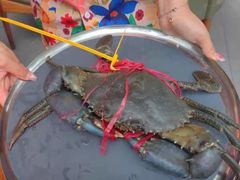 -Ministry of Crab•MOC(交子大道店)