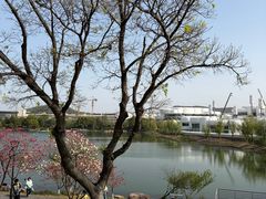 -羊山湖公园