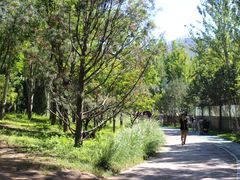 -回龙观体育文化公园