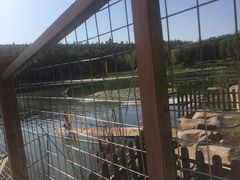-吉林大学(前卫南区)