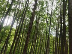 -波尔登森林公园