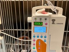 -萌兽医馆·犬猫专科·眼科中心·宠物医院(朝阳门分院)