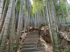 -山沟沟景区