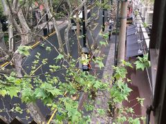-付小姐在成都(中山公园店)