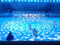 -松江大学城体育馆滑冰馆