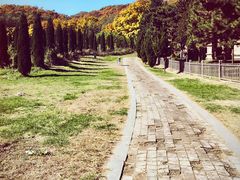 -嵩山少林文化旅游景区