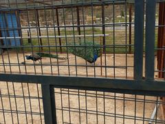 -山西乌金山旅游区