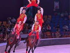 -蓬莱欧乐堡梦幻世界