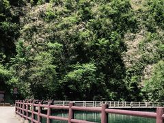 -狮子关旅游区