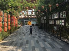 -田园东方蜜桃村的田野营地