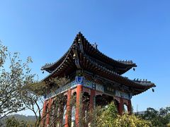 -梅花山(明孝陵内)