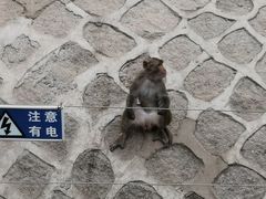 -哈尔滨北方森林动物园