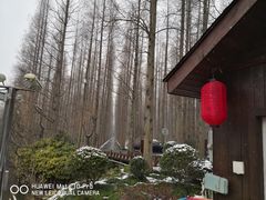 -上海怡沁园度假酒店