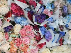 -循礼门鲜花花市(武汉循礼门店)