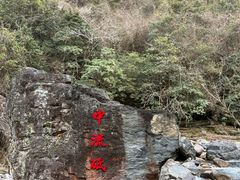 -石台牯牛降景区