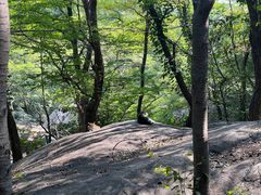 -崂山巨峰游览区