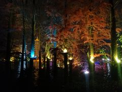 -桂林两江四湖景区
