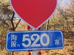 -香山公园