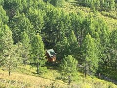 -莫尔道嘎国家森林公园