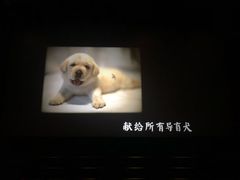 -百丽宫影城(CGS激光苏宁广场店)