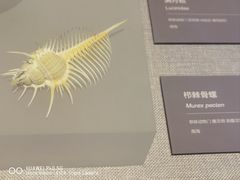 -中国（海南）南海博物馆