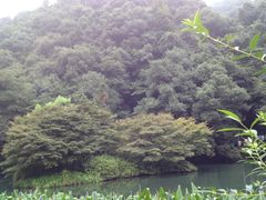 iphone_upload_pic-九溪烟树