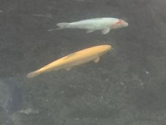 -水磨沟公园