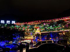 -枇杷园食为鲜火锅(南山店)