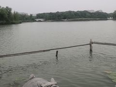 -昆山城市生态森林公园