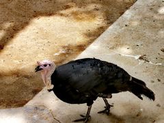 -金庭庄园酒店-停车场