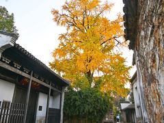 -惠山古镇·寄畅园