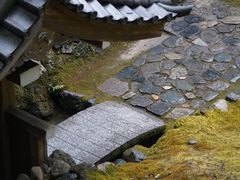 -西芳寺(苔寺)