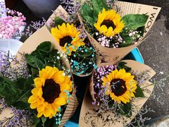 -循礼门鲜花花市(武汉循礼门店)