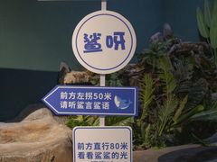 -重庆欢乐海底世界